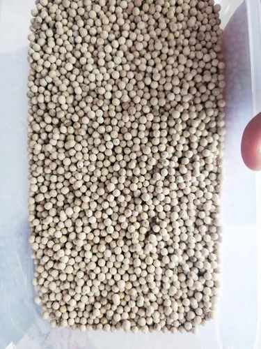 Common  White Pepper